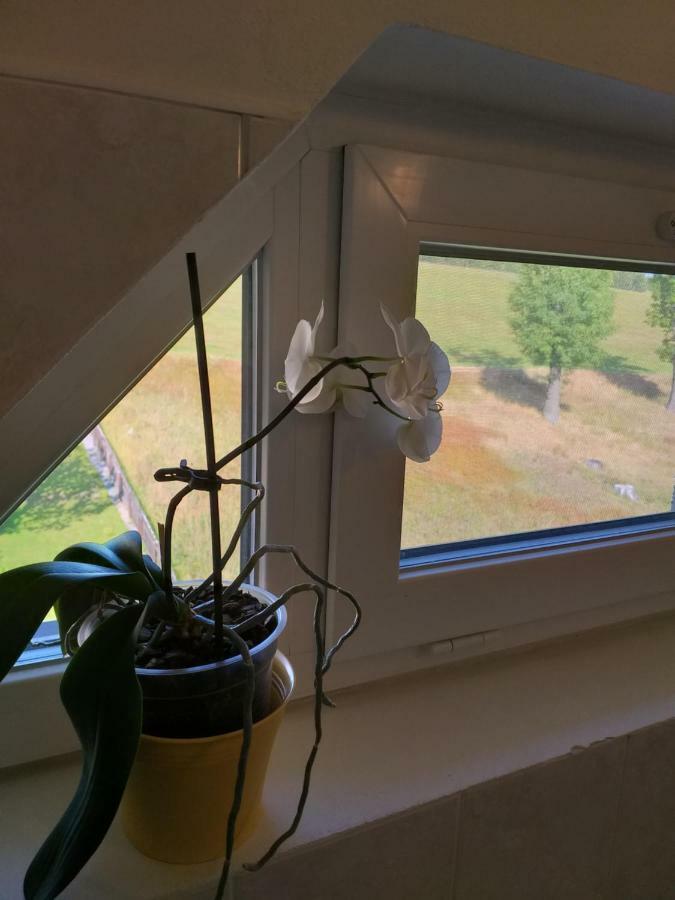 Hotel U Pohody Kovářská Zewnętrze zdjęcie
